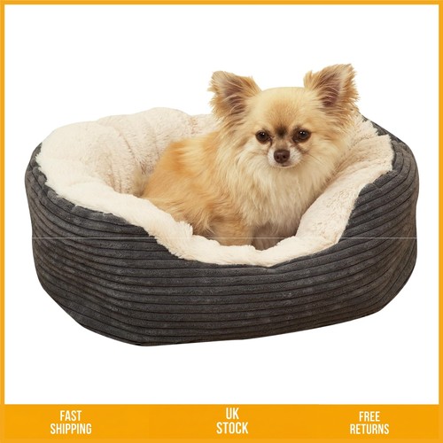 Cosy jumbo cord plush oval - cosy, pet
