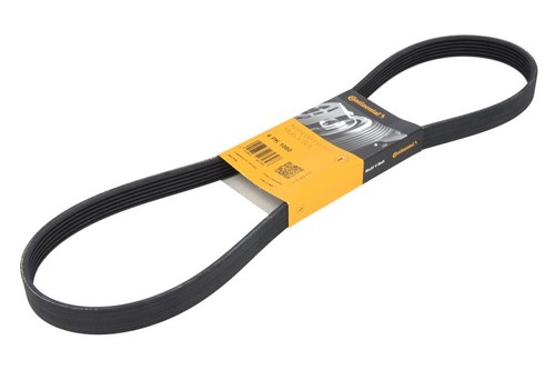 Ribbed belt fits alfa - ribbed,