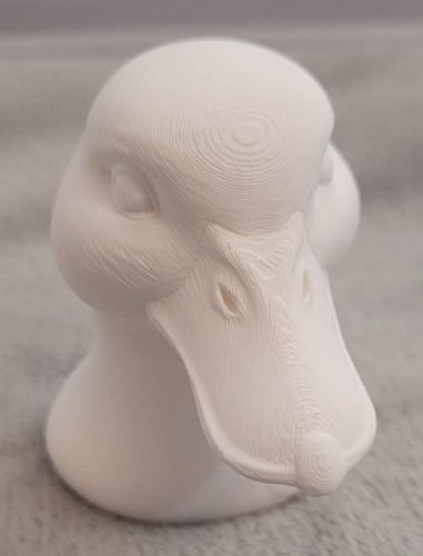 Duck bust ornament - ornament, –