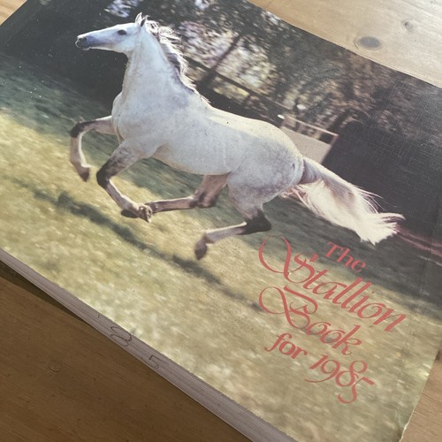 The stallion book for - stallion, 1985