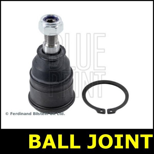 Ball joint front lower - joint, fits