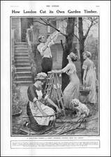 1912 COAL STRIKE Family cutting Garden Timber for Firewood Coal Scuttles (235)