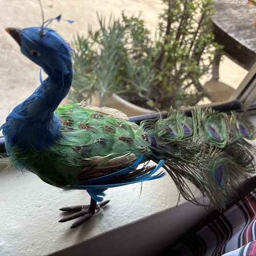 Stuffed peacock model doll