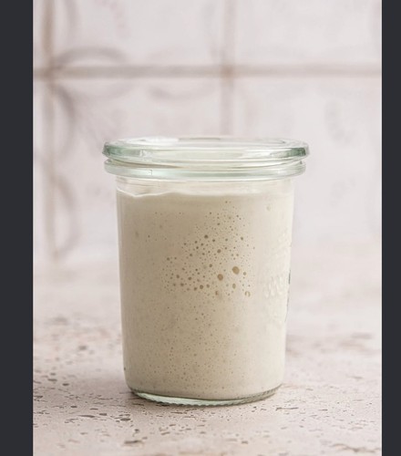 Sourdough starter for artisan - starter,