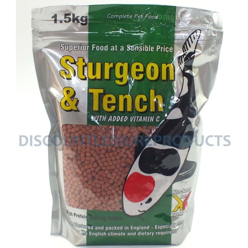 Sturgeon tench sinking fish - sinking,