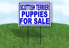 Scottish Terrier PUPPIES FOR