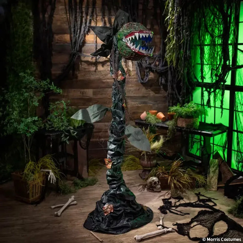 6ft carnivorous plant animated - plant,