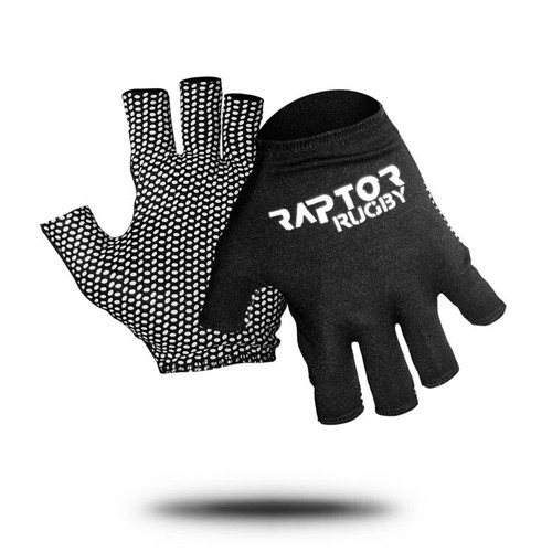 Raptor rugby - raptor,