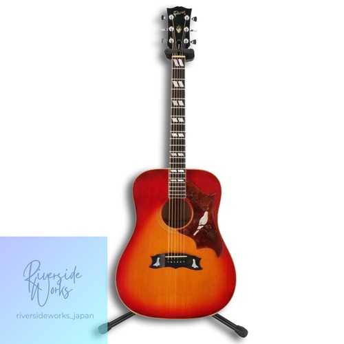 Gibson acoustic guitar - dove, b