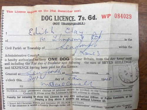 Dog licence 29th - licence,