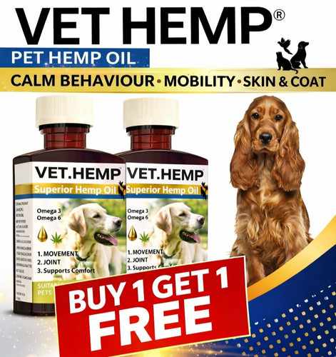 Hemp oil for dogs - hemp,