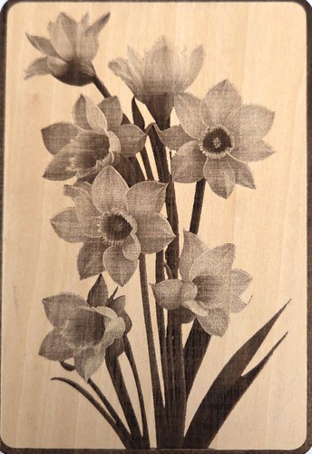 Laser engraved plaque - laser-engraved,