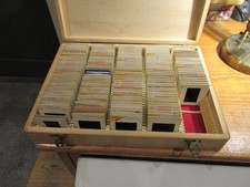 Box 3  162 35mm slides wildlife Beetle Butterfly  Insect Entomology Taxidermy