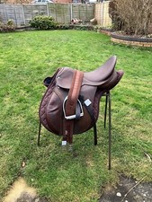 17 - 17 1/2 Inch Saddle pony horse CHEAP. Need Space Breaking lunging  hacking