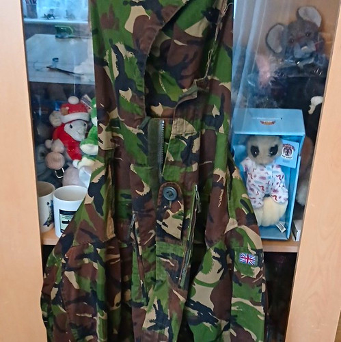 Nato dpm woodland camo - dpm,