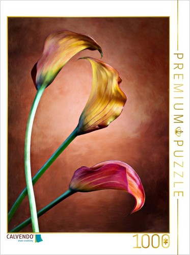 Calvendo puzzle zantedeschia - calvendo,