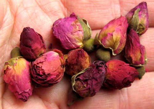 Tibetan dried red rose - tibetan,