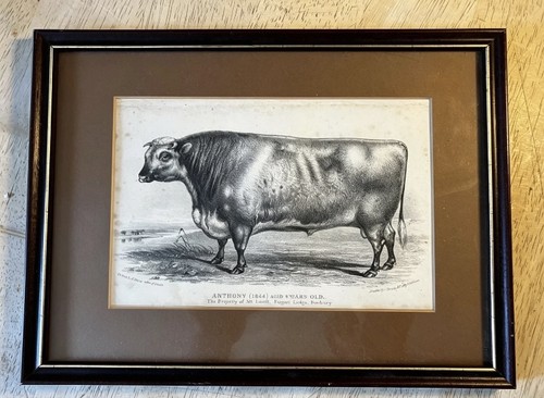 Antique 1835 lithograph - antique,