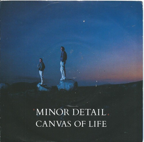 Minor detail canvas of life - -,