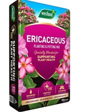 Westland ericaceous compost - westland,