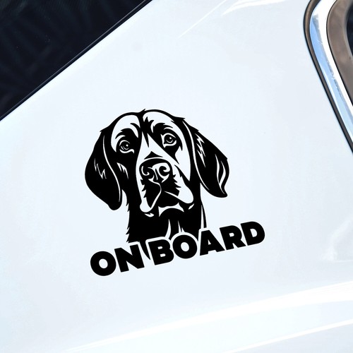 Labrador retriever dog - labrador,