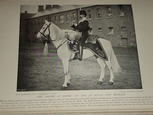 1896 kettle drummer drum horse - kettle,