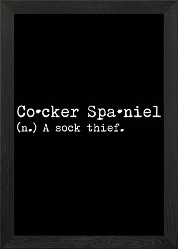 Cocker spaniel sock thief - sock,