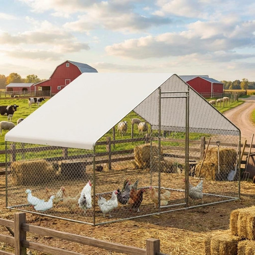 Large metal chicken - chicken, coop