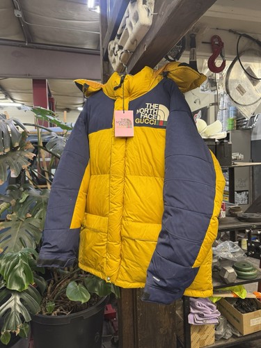 The north face - north, yellow