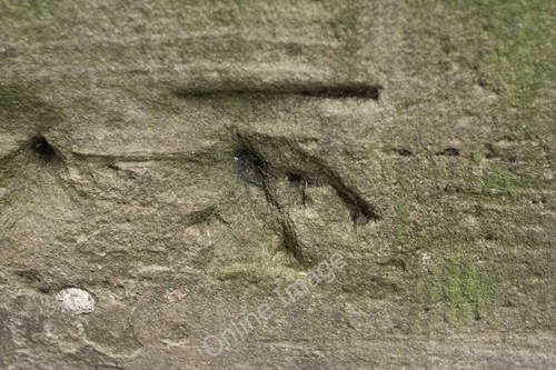 Photo 6x4 cut bench mark - photo,