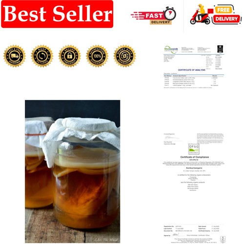 Medium kombucha scoby with - kombucha,
