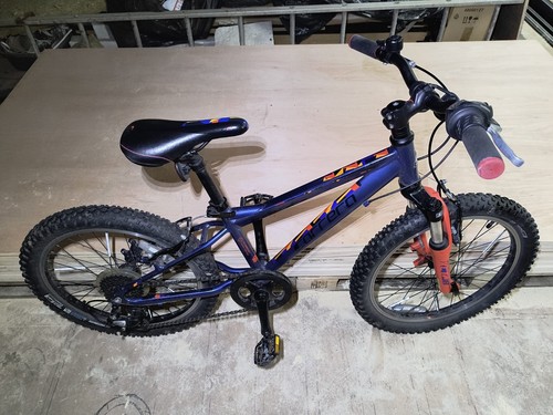 Carrera blast junior mountain - junior,