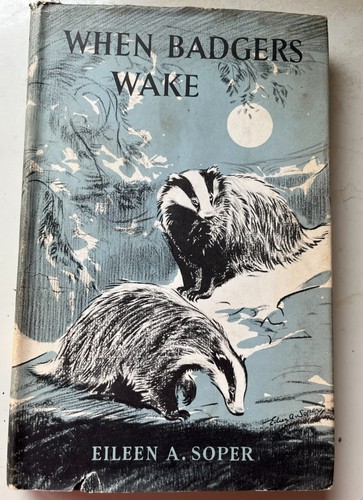 When badgers wake - when,