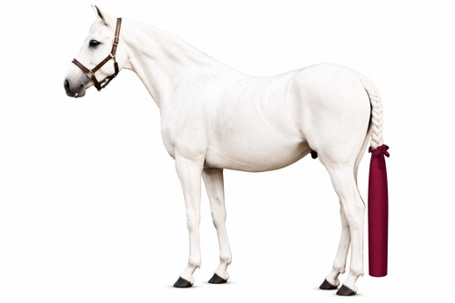 Horse lycra tail protector - lycra,