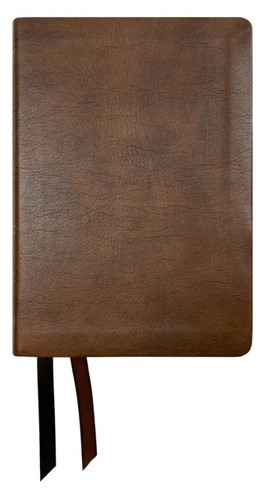 Nasb 2020 large print compact - large,