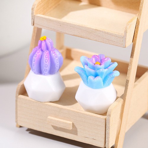 Pcs miniature potted - potted, plants