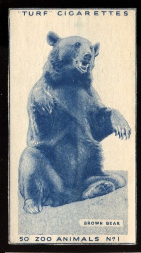 Tobacco card carreras turf - tobacco,