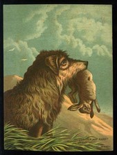 Mid 19th C Chromolitho Dog