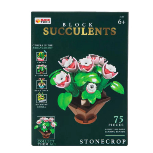 Block succulents stonecrop - succulents,