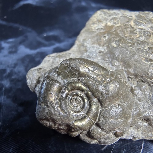 Pyrite multi specimen - pyrite,