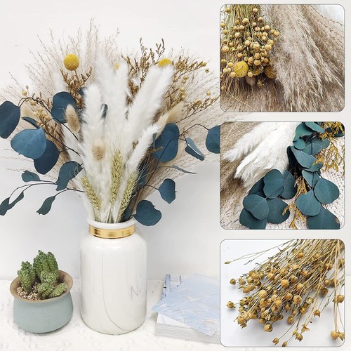 26pcs dried reed flowers - 26pcs,