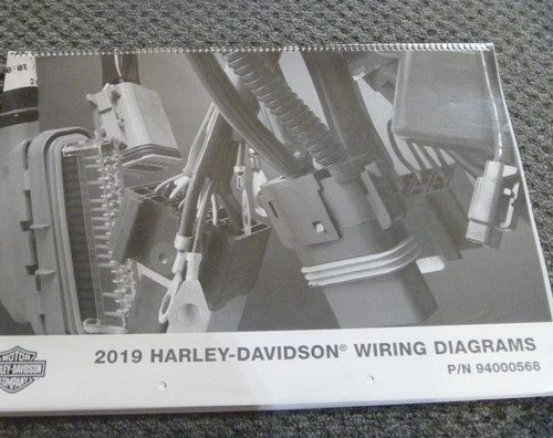 2019 harley davidson livewire - 2019,