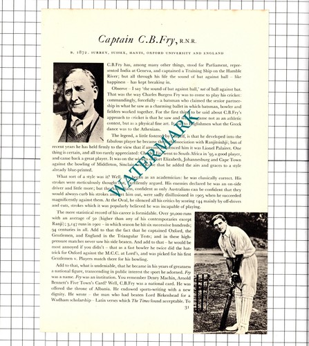 Captain fry cricketer - captain,