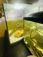 60 Litre & 30 Litre Tropical