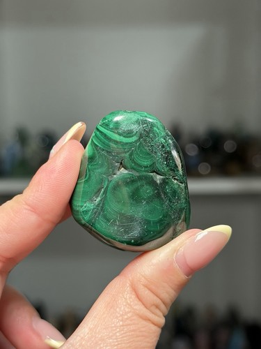 Malachite small freeform - malachite,