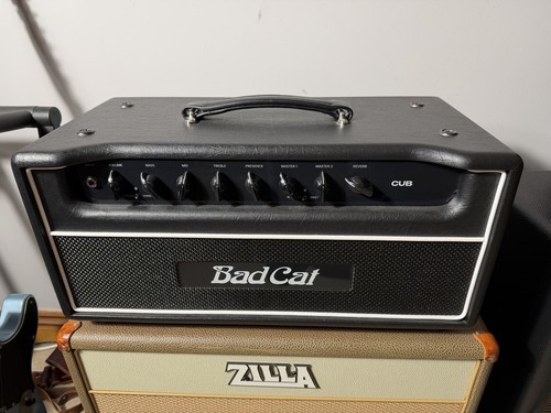 Bad cat cub - 30, (iv)