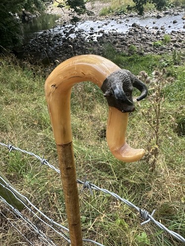 Rams horn walking - walking, stick