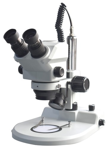 Binocular stereo zoom - stereo,