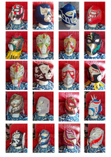 Mixed Adult Mexican Wrestling Masks Unisex
