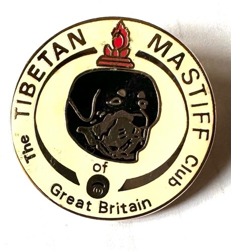 Tibetan mastiff club great - mastiff, of